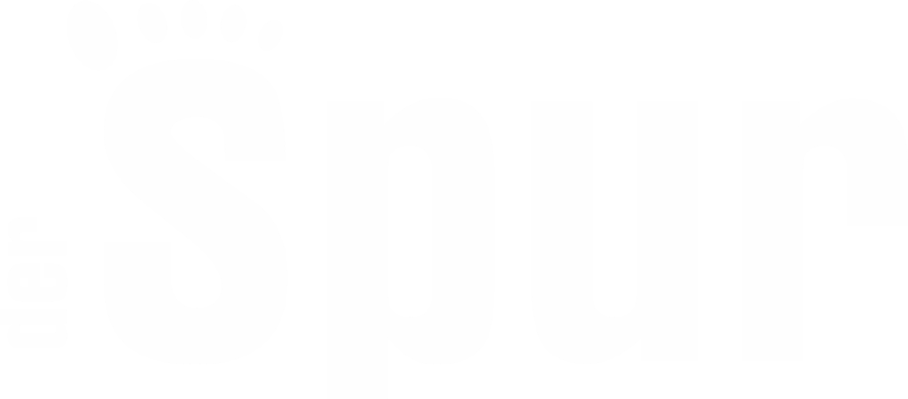 Лого SPUR_ПНГ1.png